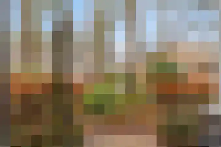 Coriolanuspad 1 D Eindhoven thumbnail 6