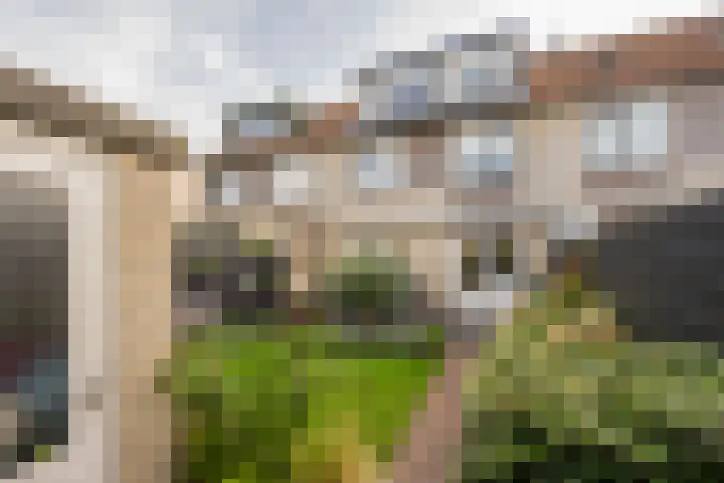 Corlaerstraat 11 Nijkerk thumbnail 38
