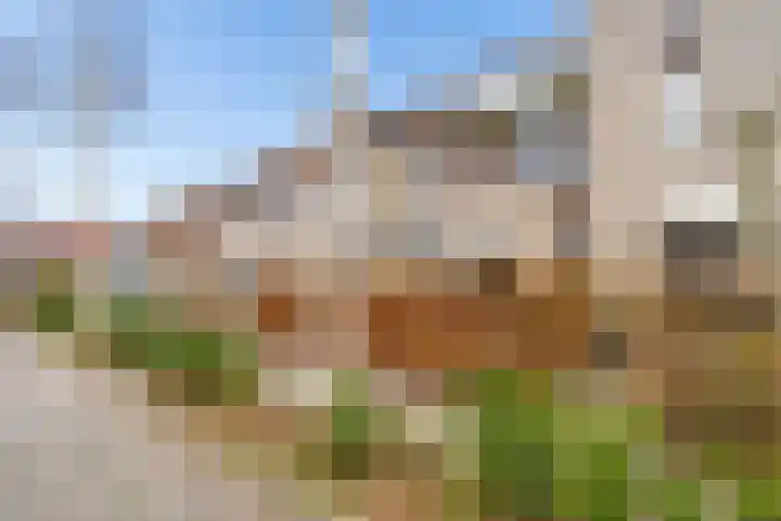 Corlaerstraat 22 Nijkerk thumbnail 4