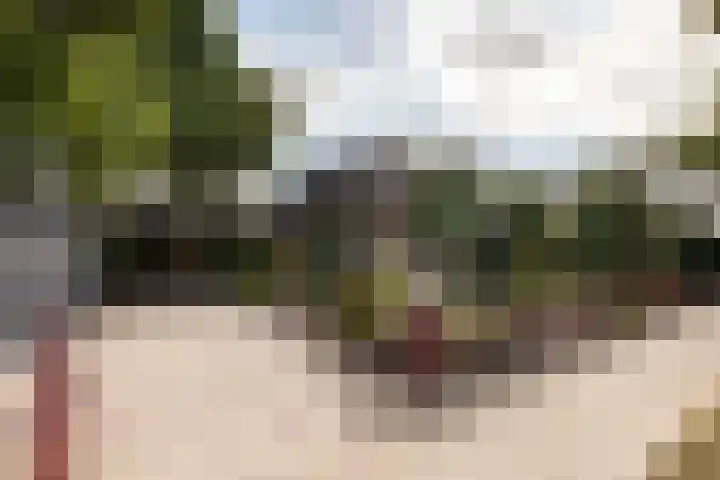 Corlaerstraat 37 Nijkerk thumbnail 6