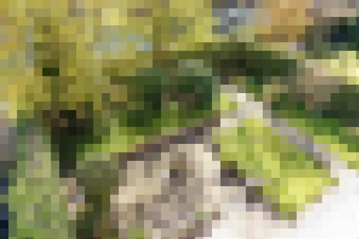 Corneillelaan 10 Amstelveen thumbnail 34