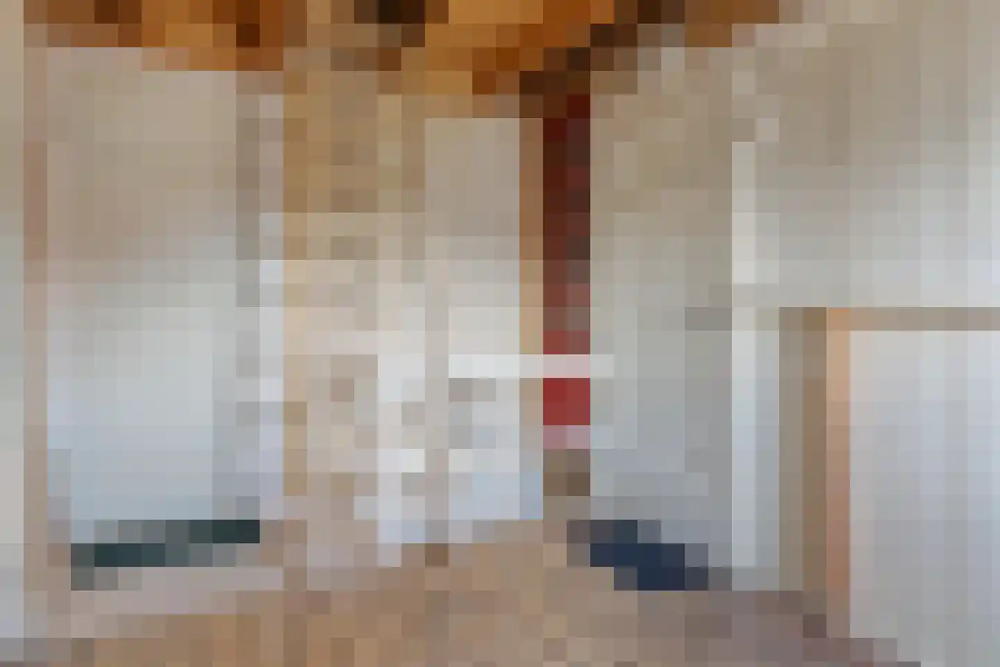 Corneillelaan 12 Utrecht thumbnail 26