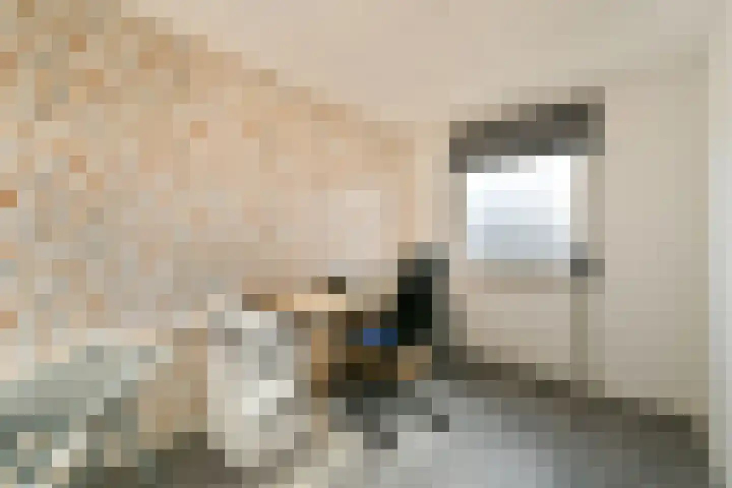 Corneillestraat 32 Rotterdam thumbnail 14