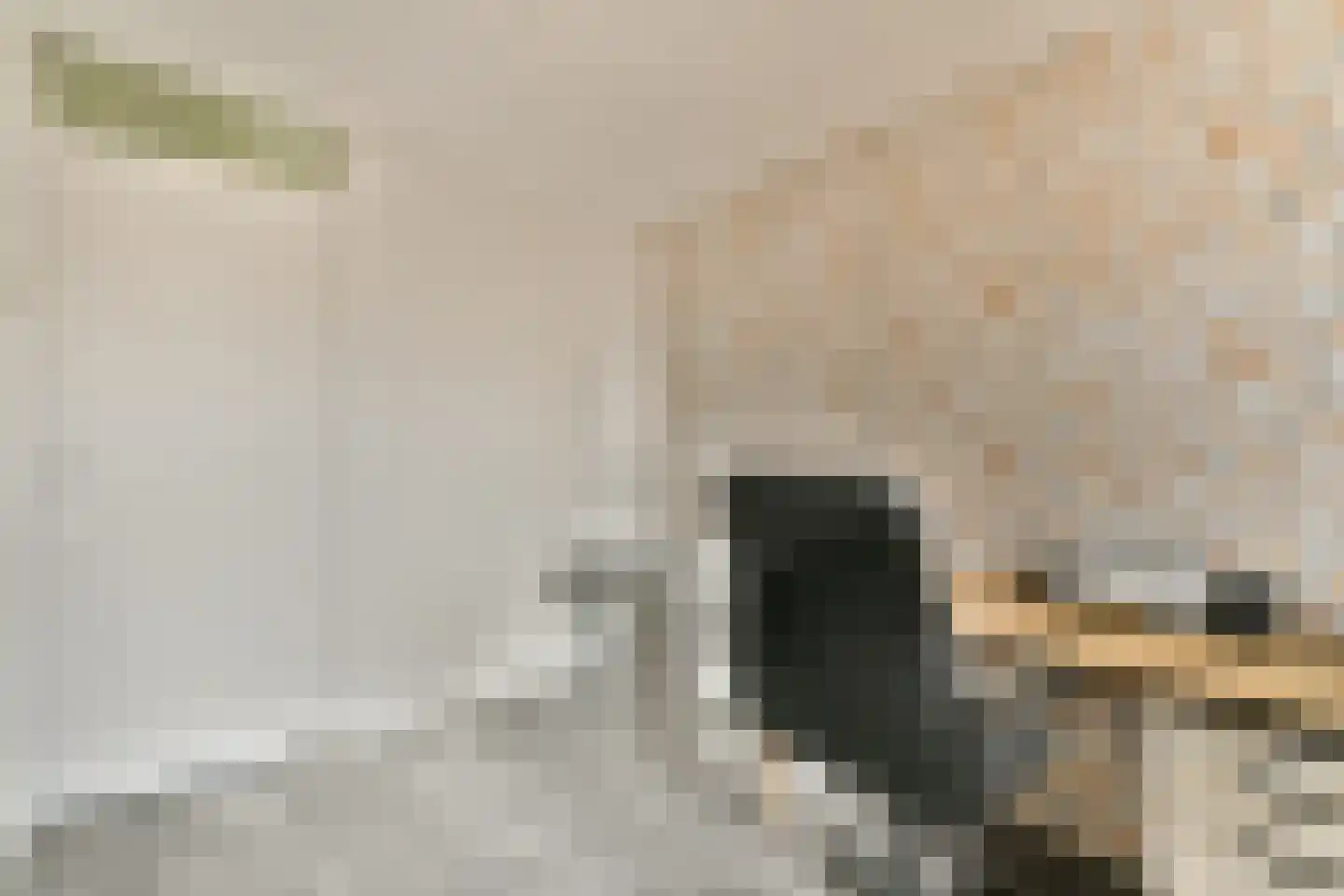 Corneillestraat 32 Rotterdam thumbnail 15
