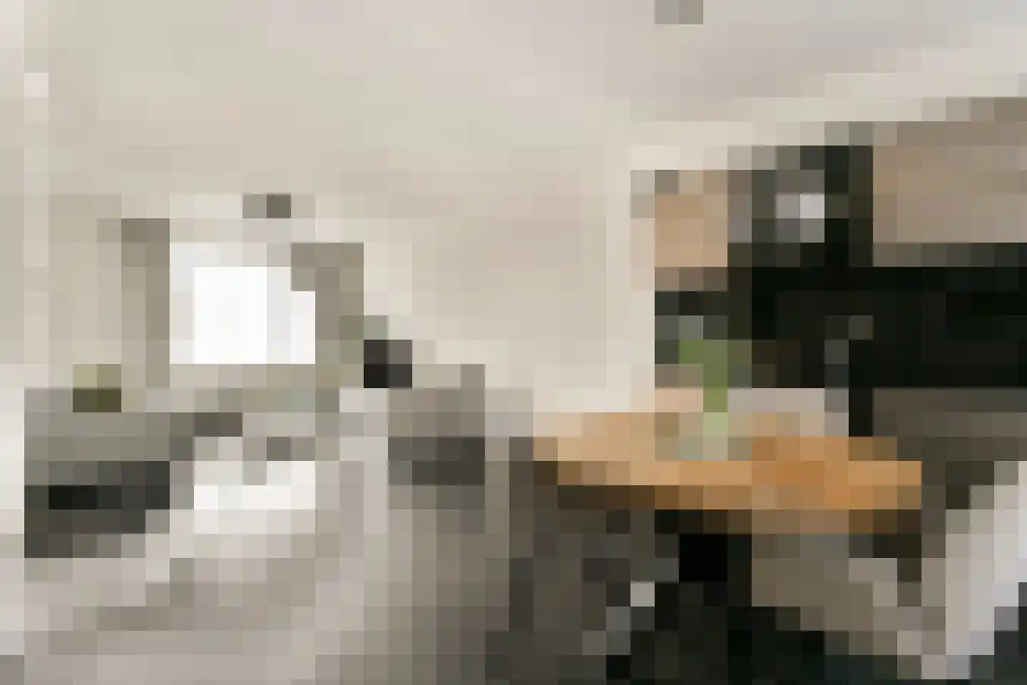 Corneillestraat 32 Rotterdam thumbnail 5