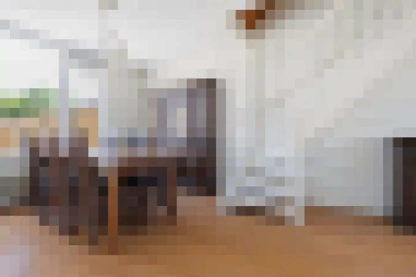 Corneillestraat 7 Venlo thumbnail 12