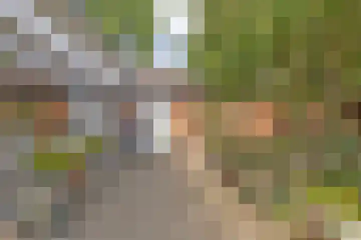 Cornelia de Langelaan 1 Bussum thumbnail 13
