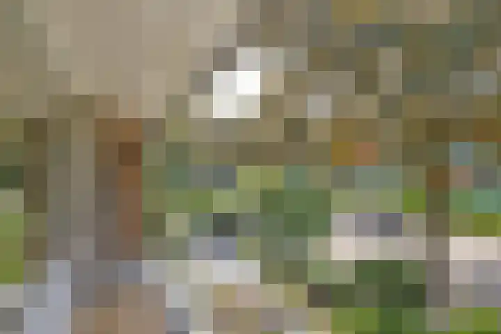 Cornelia de Langelaan 1 Bussum thumbnail 25
