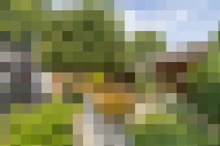 Cornelia de Langelaan 1 Bussum thumbnail 34