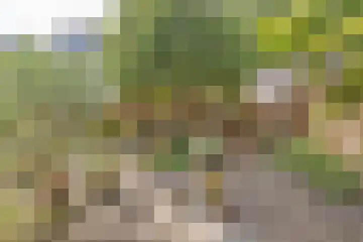 Cornelia de Langelaan 1 Bussum thumbnail 38