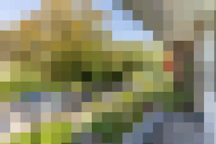 Cornelia de Langelaan 23 Bussum thumbnail 21