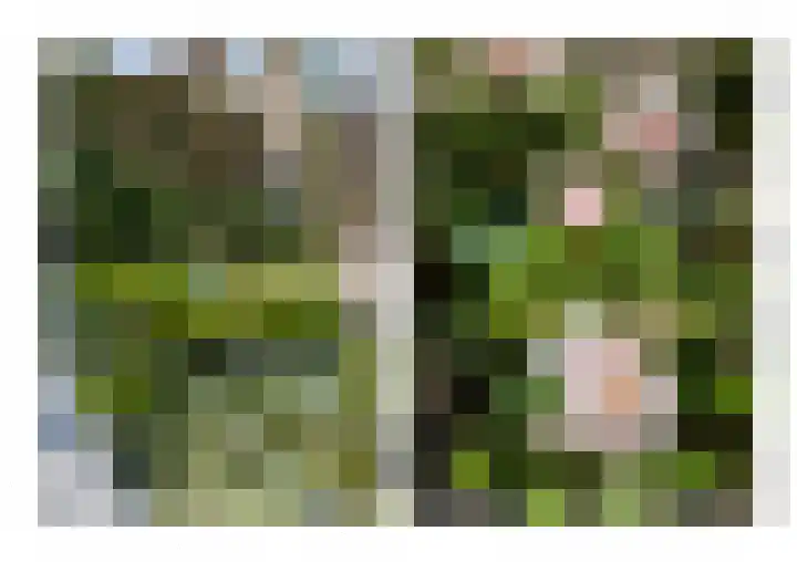 Cornelia de Langelaan 23 Bussum thumbnail 31