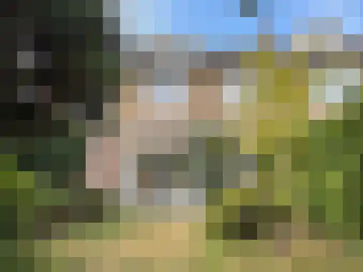 Cornelia de Langelaan 29 Bussum thumbnail 11