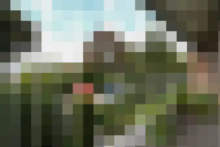 Cornelia de Langelaan 29 Bussum thumbnail 19