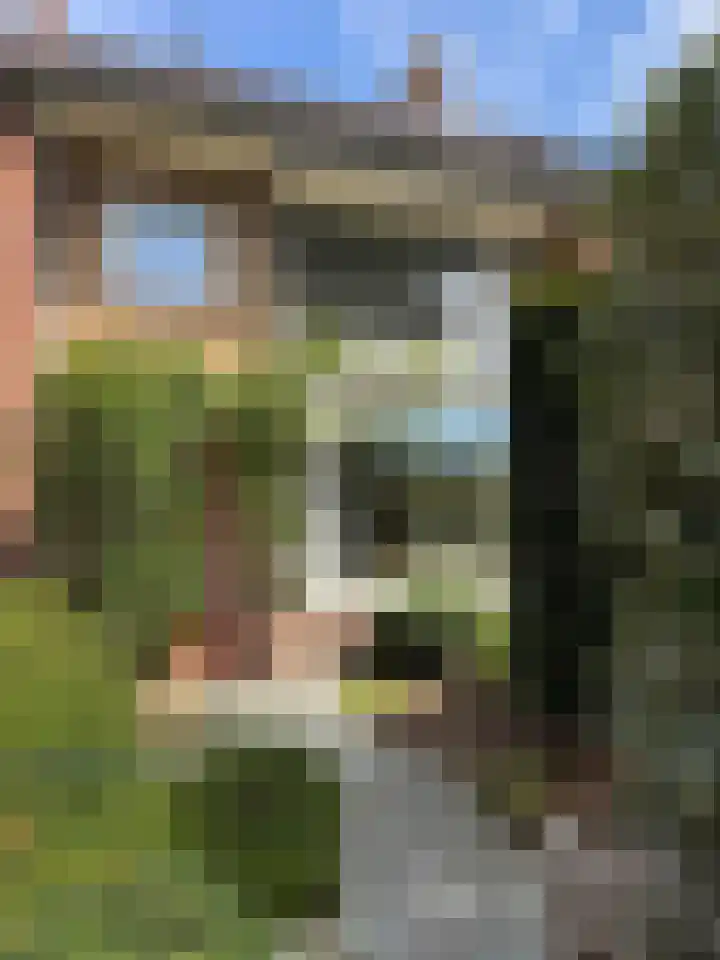Cornelia de Langelaan 29 Bussum thumbnail 25