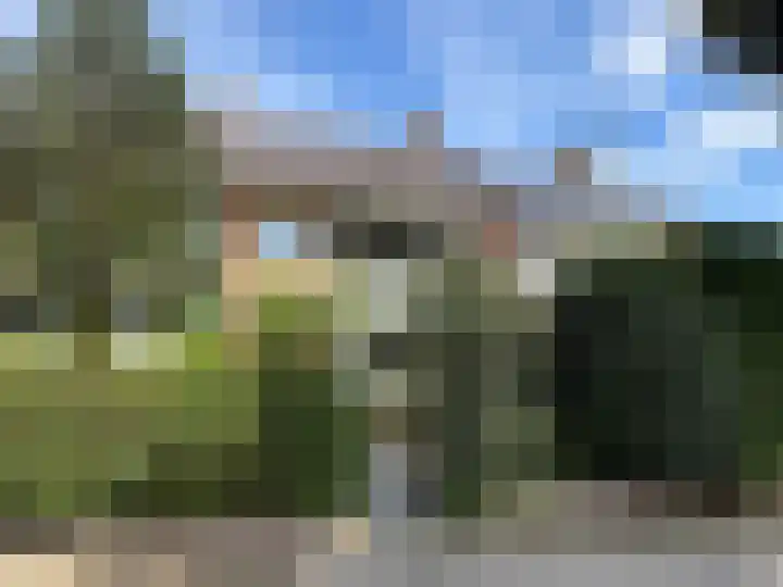 Cornelia de Langelaan 29 Bussum thumbnail 31