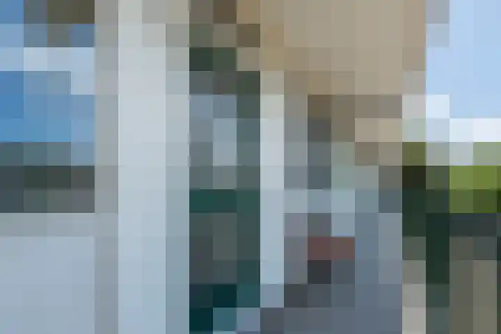 Cornelia de Langelaan 60 Bussum thumbnail 42