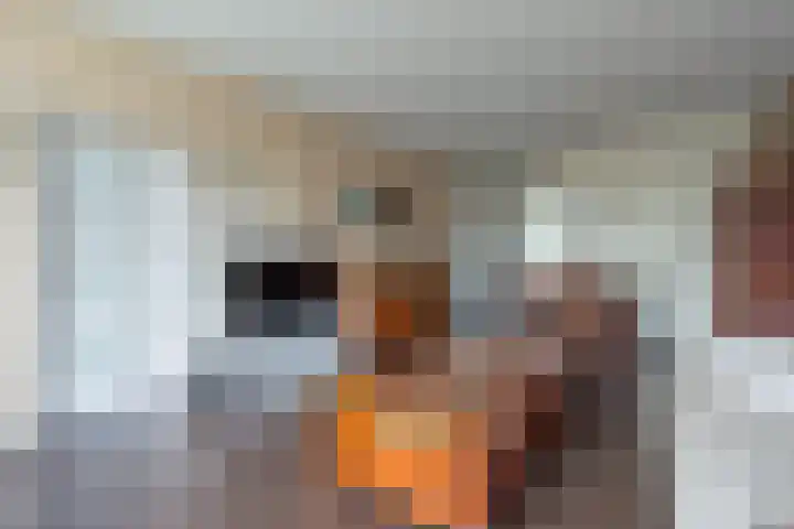 Cornelia de Langelaan 60 Bussum thumbnail 6