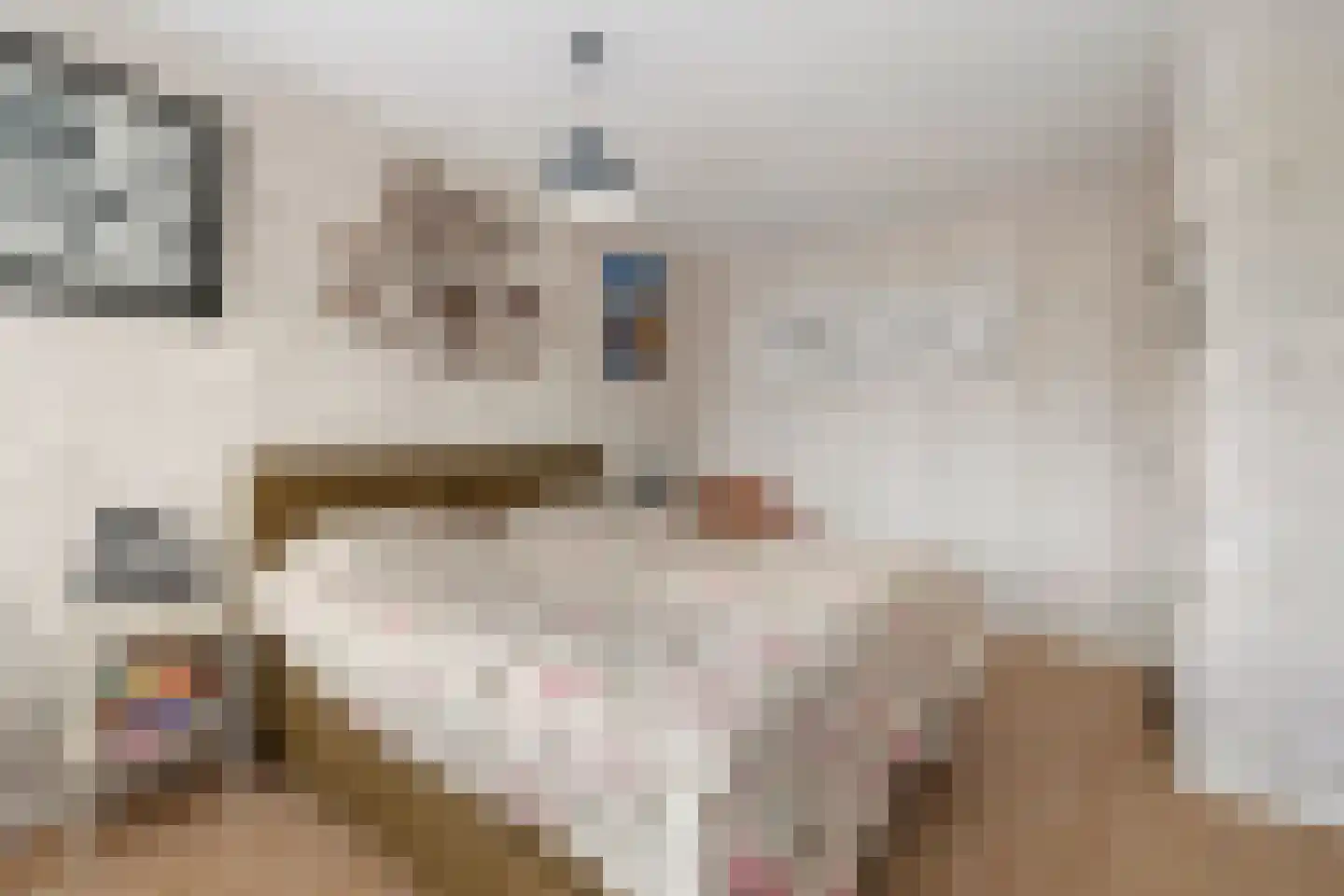 Cornelia de Langelaan 68 Bussum thumbnail 18
