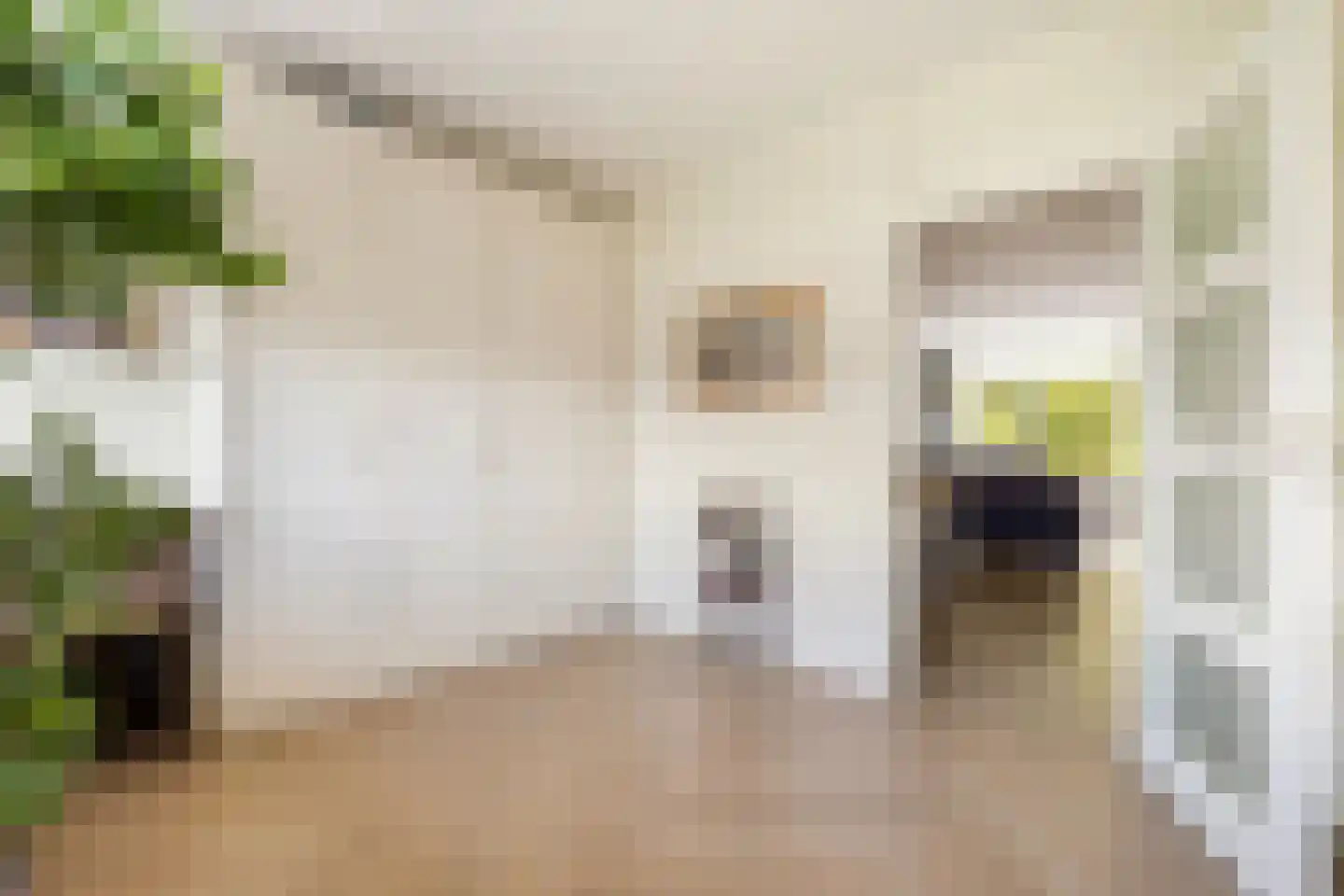 Cornelia de Langelaan 84 Bussum thumbnail 14