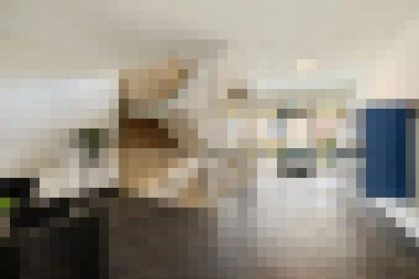 Cornelia de Langelaan 84 Bussum thumbnail 4