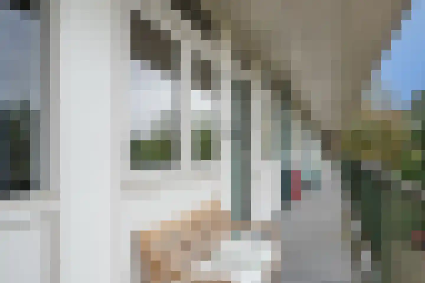Cornelia de Langelaan 86 Bussum thumbnail 6