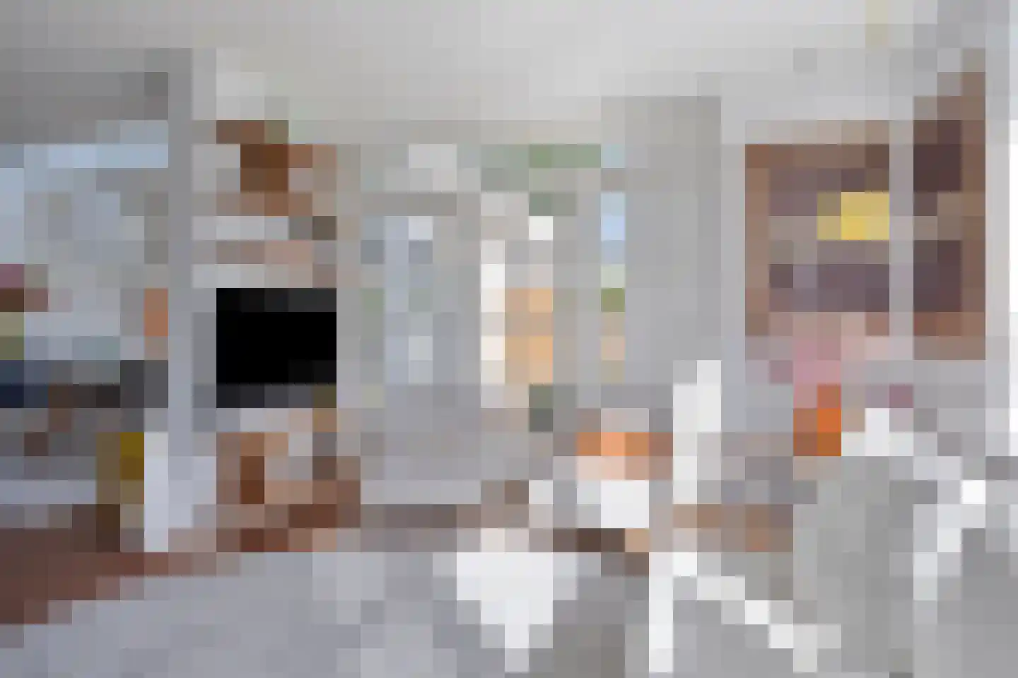 Cornelia de Langestraat 7 Castricum thumbnail 17