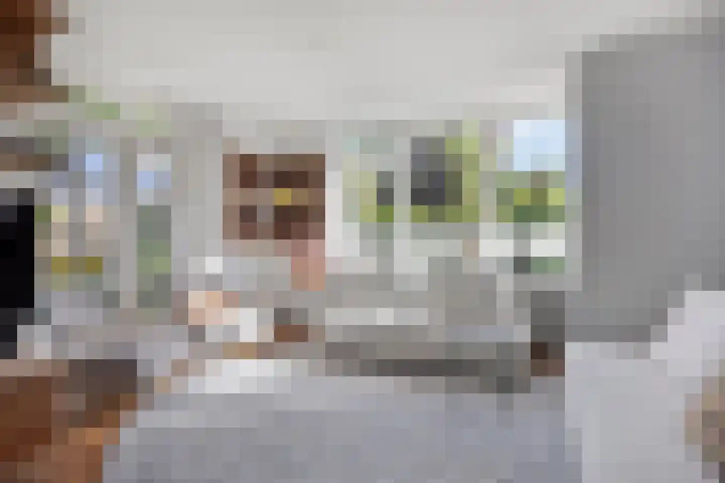Cornelia de Langestraat 7 Castricum thumbnail 18