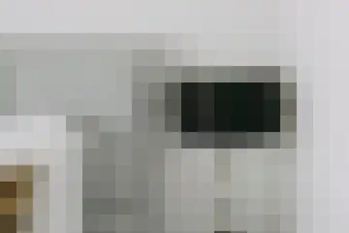 Cornelia de Rijcklaan 43 Bilthoven thumbnail 17