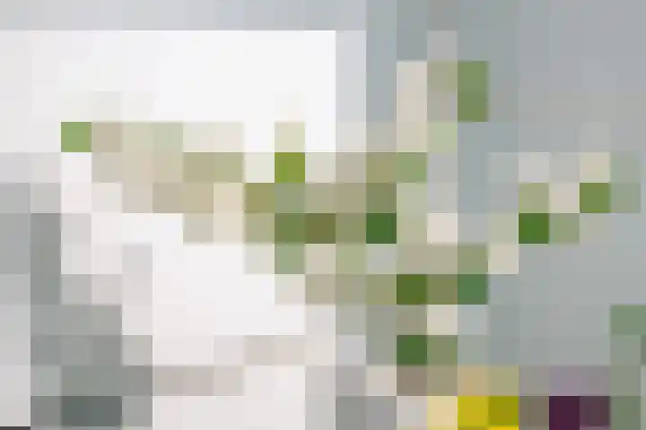 Cornelia de Rijcklaan 43 Bilthoven thumbnail 19