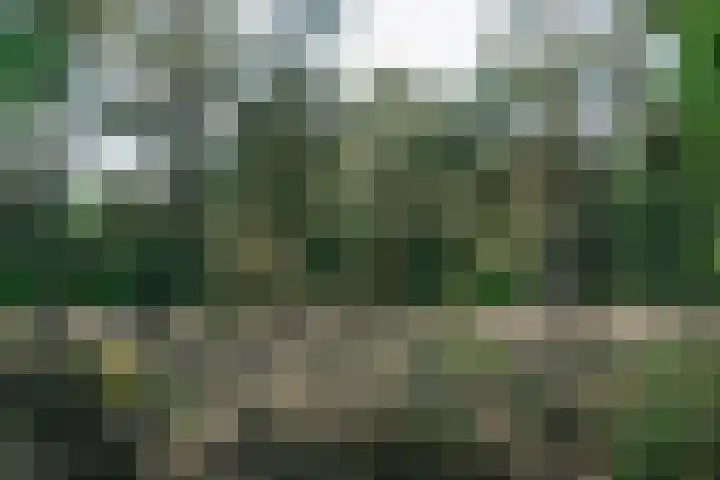 Cornelia de Rijcklaan 43 Bilthoven thumbnail 28