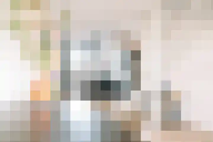 Cornelia de Rijcklaan 43 Bilthoven thumbnail 4