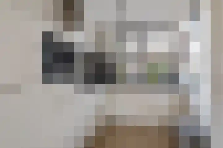 Cornelia de Rijcklaan 9 Bilthoven thumbnail 12