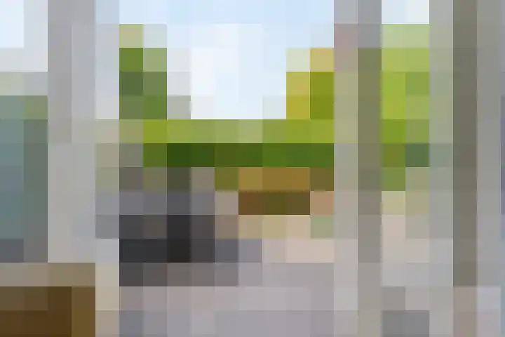 Cornelia de Rijcklaan 9 Bilthoven thumbnail 23