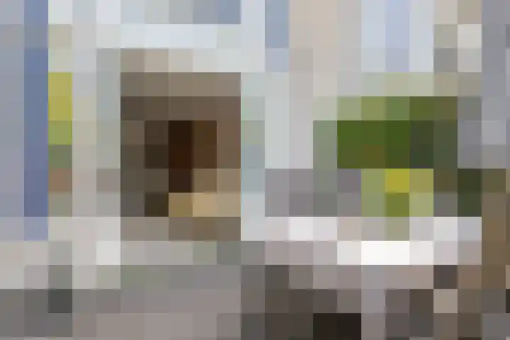 Cornelia de Rijcklaan 9 Bilthoven thumbnail 24