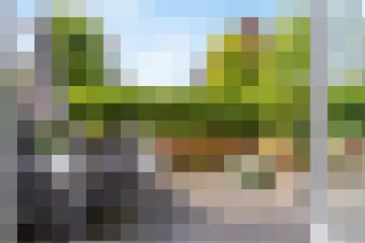 Cornelia de Rijcklaan 9 Bilthoven thumbnail 25