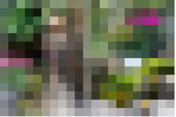 Cornelia de Rijcklaan 9 Bilthoven thumbnail 26