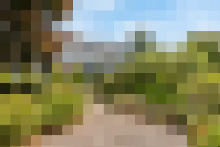 Cornelia de Rijcklaan 9 Bilthoven thumbnail 27