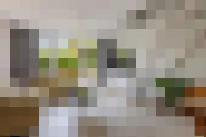 Cornelia de Rijcklaan 9 Bilthoven thumbnail 5