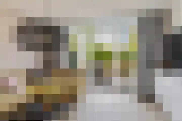 Cornelia de Rijcklaan 9 Bilthoven thumbnail 6