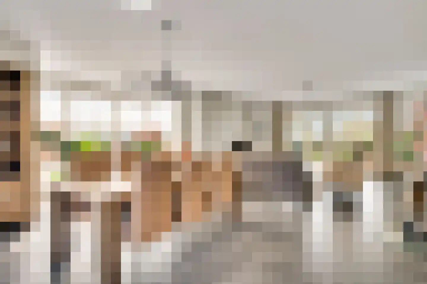 Cornelia Katzstraat 4 Weert thumbnail 17
