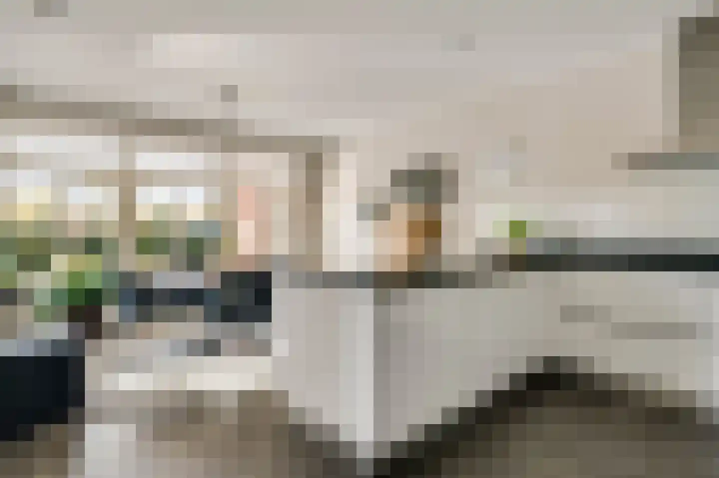 Cornelia Katzstraat 4 Weert thumbnail 25