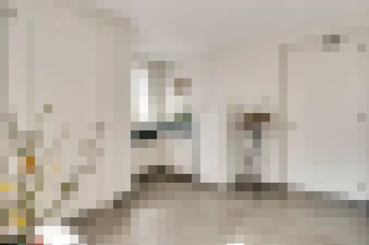 Cornelia Katzstraat 4 Weert thumbnail 29