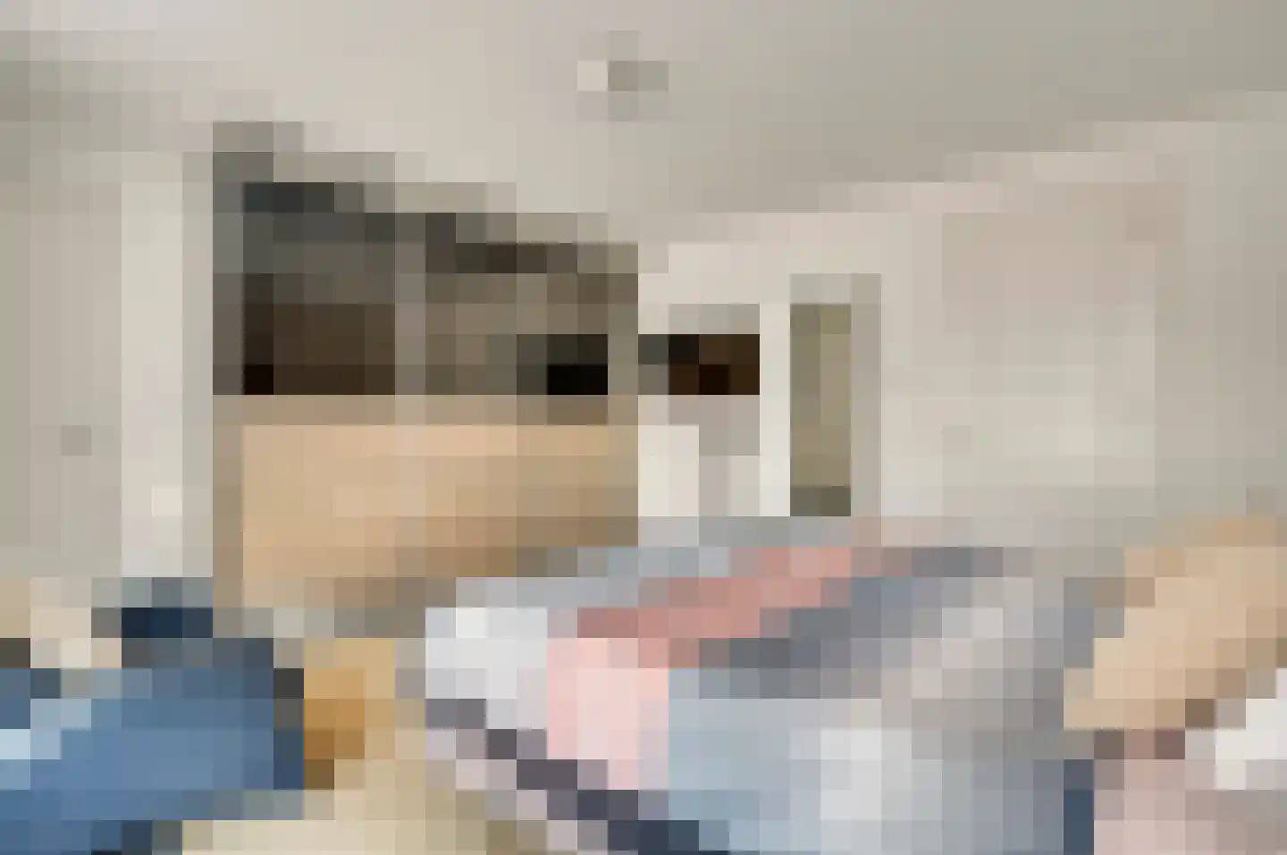 Cornelia Katzstraat 4 Weert thumbnail 36