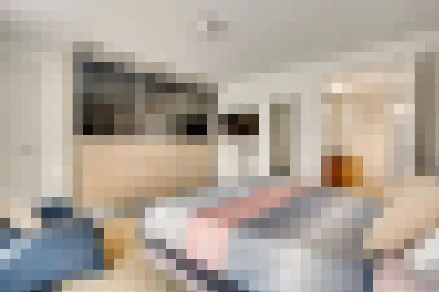 Cornelia Katzstraat 4 Weert thumbnail 37