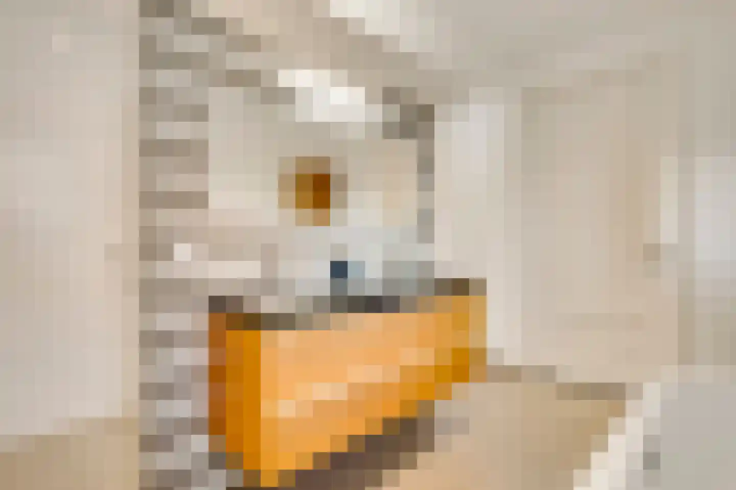 Cornelia Katzstraat 4 Weert thumbnail 38