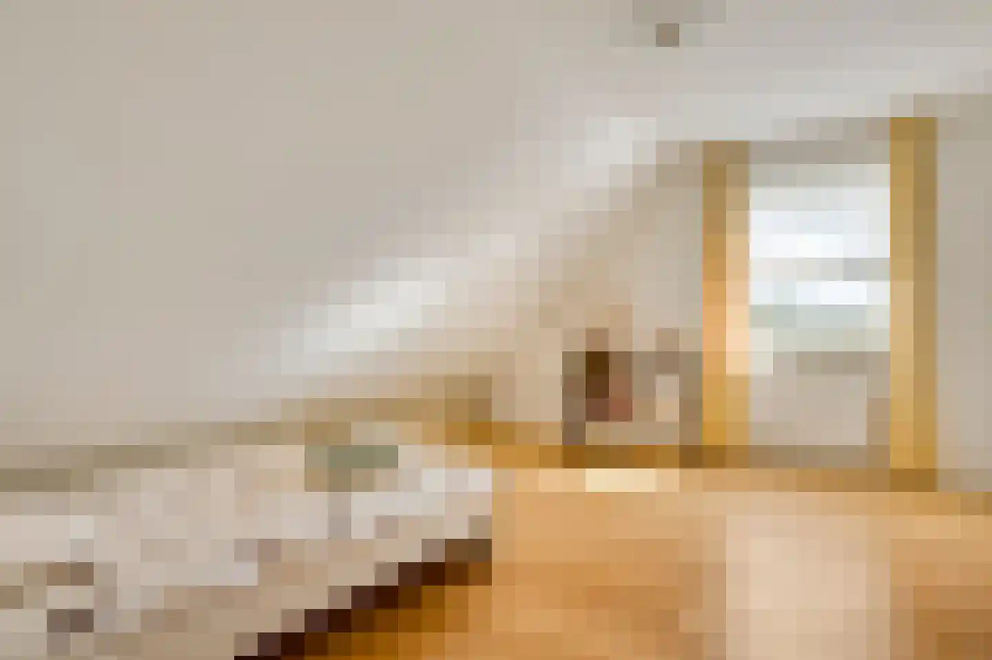 Cornelia Katzstraat 4 Weert thumbnail 52