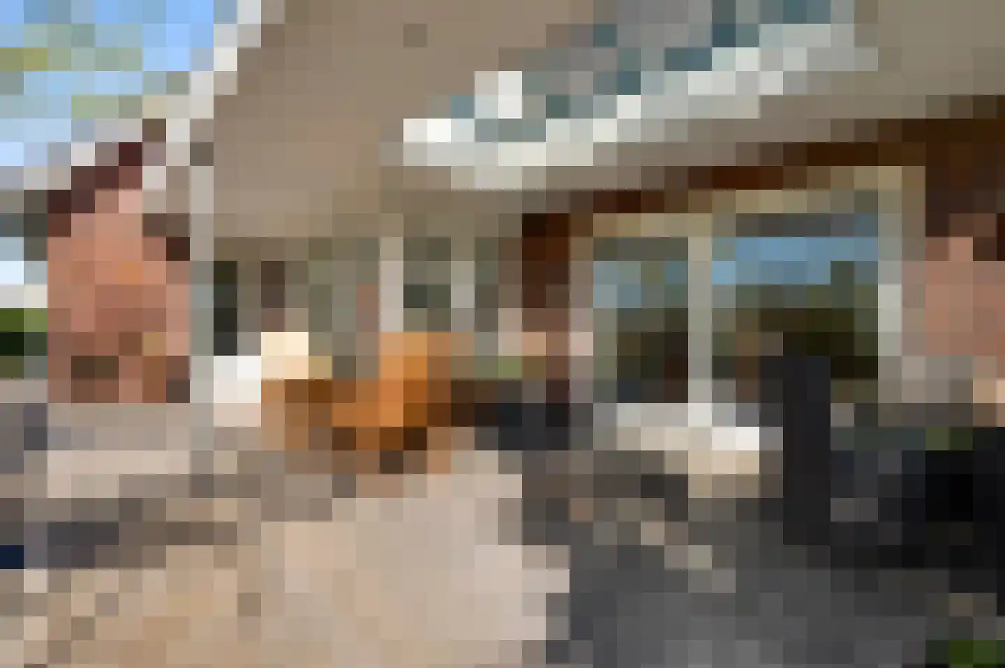 Cornelia Katzstraat 4 Weert thumbnail 63