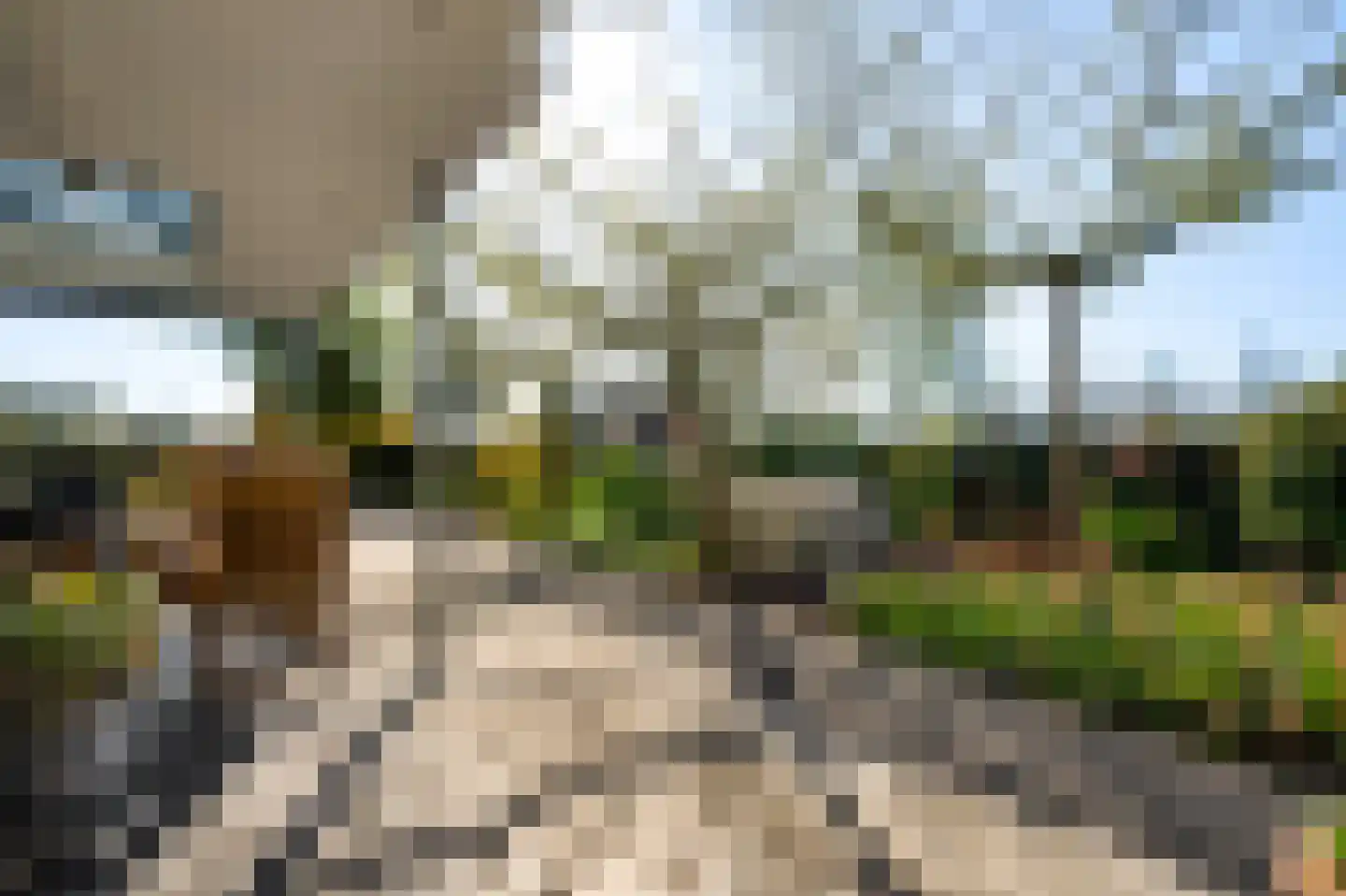 Cornelia Katzstraat 4 Weert thumbnail 65