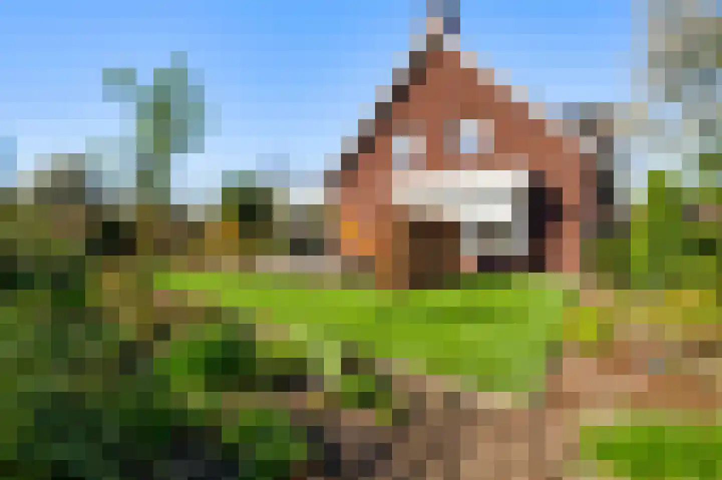 Cornelia Katzstraat 4 Weert thumbnail 70